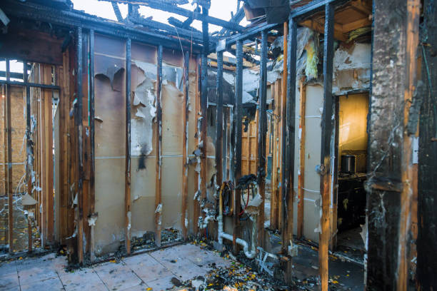 Professional Fire Damage Removal technician working in Delavan, WI
